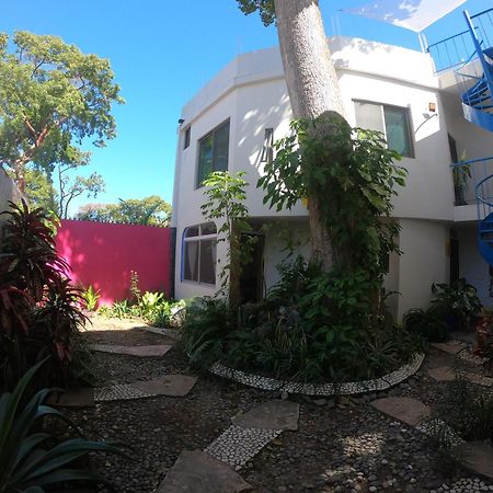 Casa Arbol De Paz Habitacion Doble Chacala  Zewnętrze zdjęcie