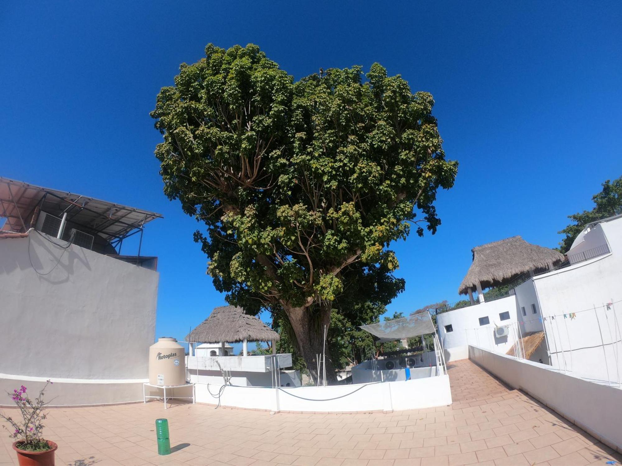Casa Arbol De Paz Habitacion Doble Chacala  Zewnętrze zdjęcie