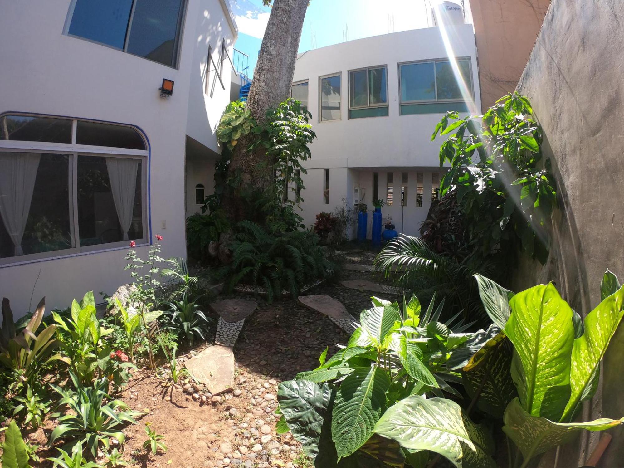 Casa Arbol De Paz Habitacion Doble Chacala  Zewnętrze zdjęcie